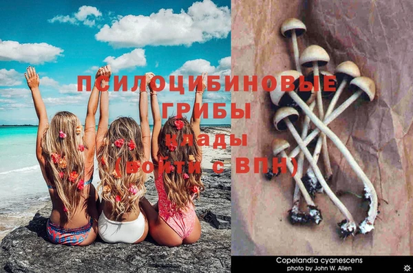 наркотики Баксан